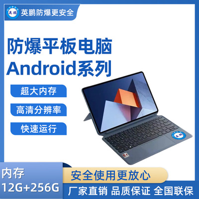 英鹏防爆平板电脑Android系列 12+256GB