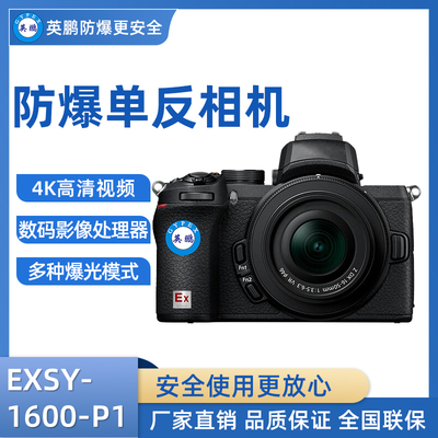 英鹏防爆单反照相机 EXSY-1600-P1